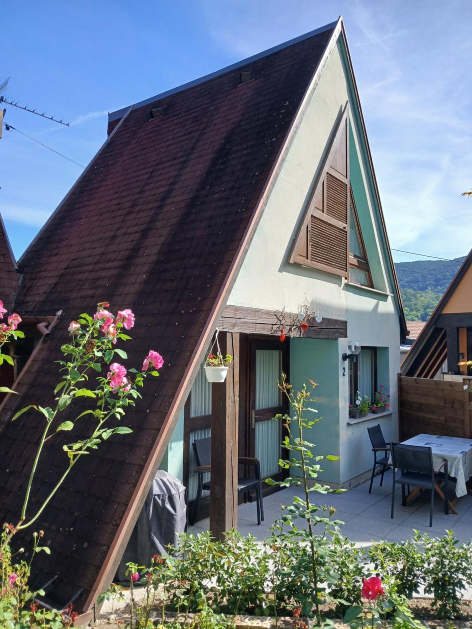 Gite Pinot Gris Et Gite Pinot Blanc Kaysersberg-Vignoble Esterno foto
